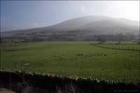 Hill across a field