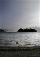 A playful dog splashing in the lake